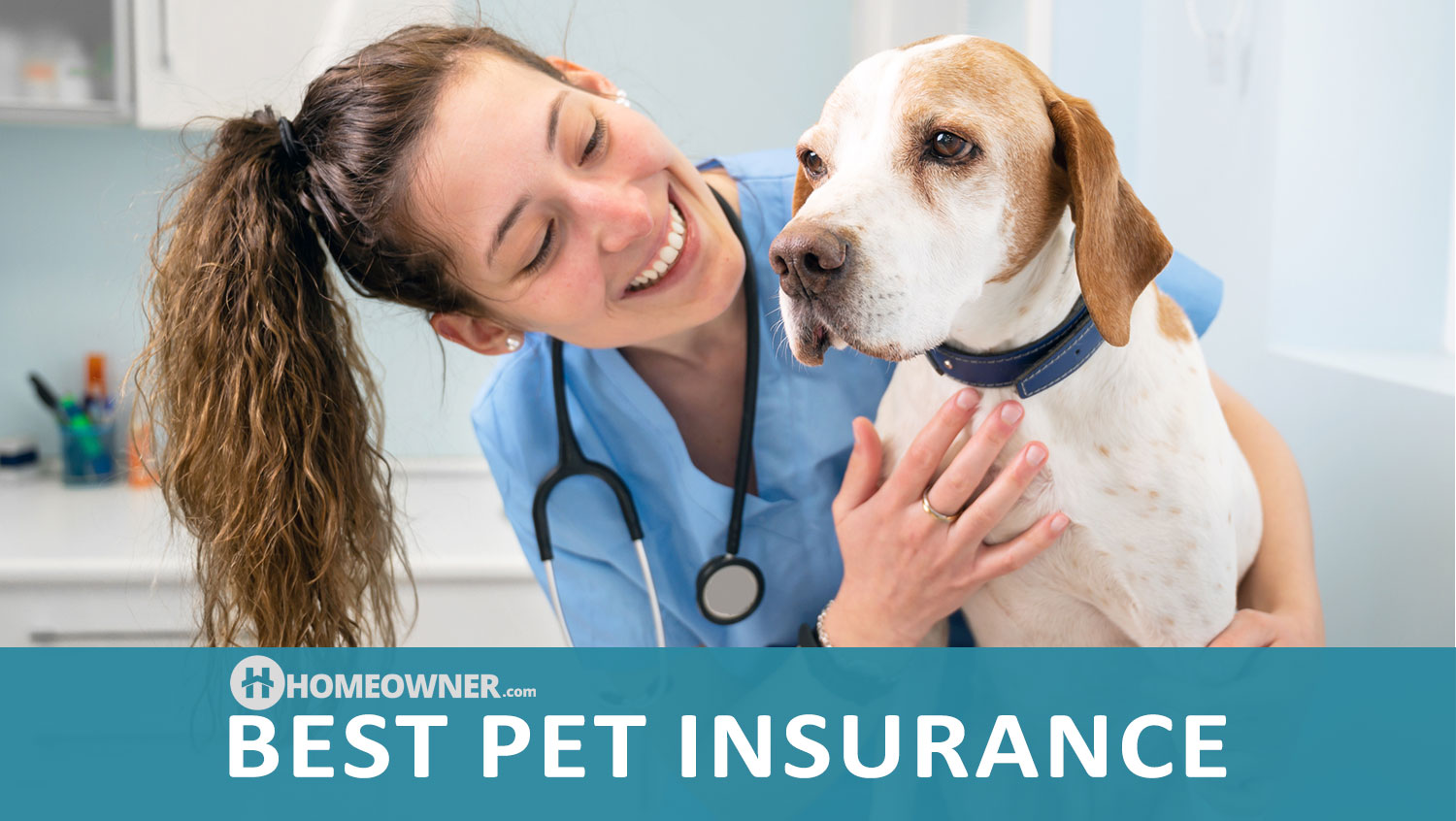 Best Pet Insurance Companies in 2023