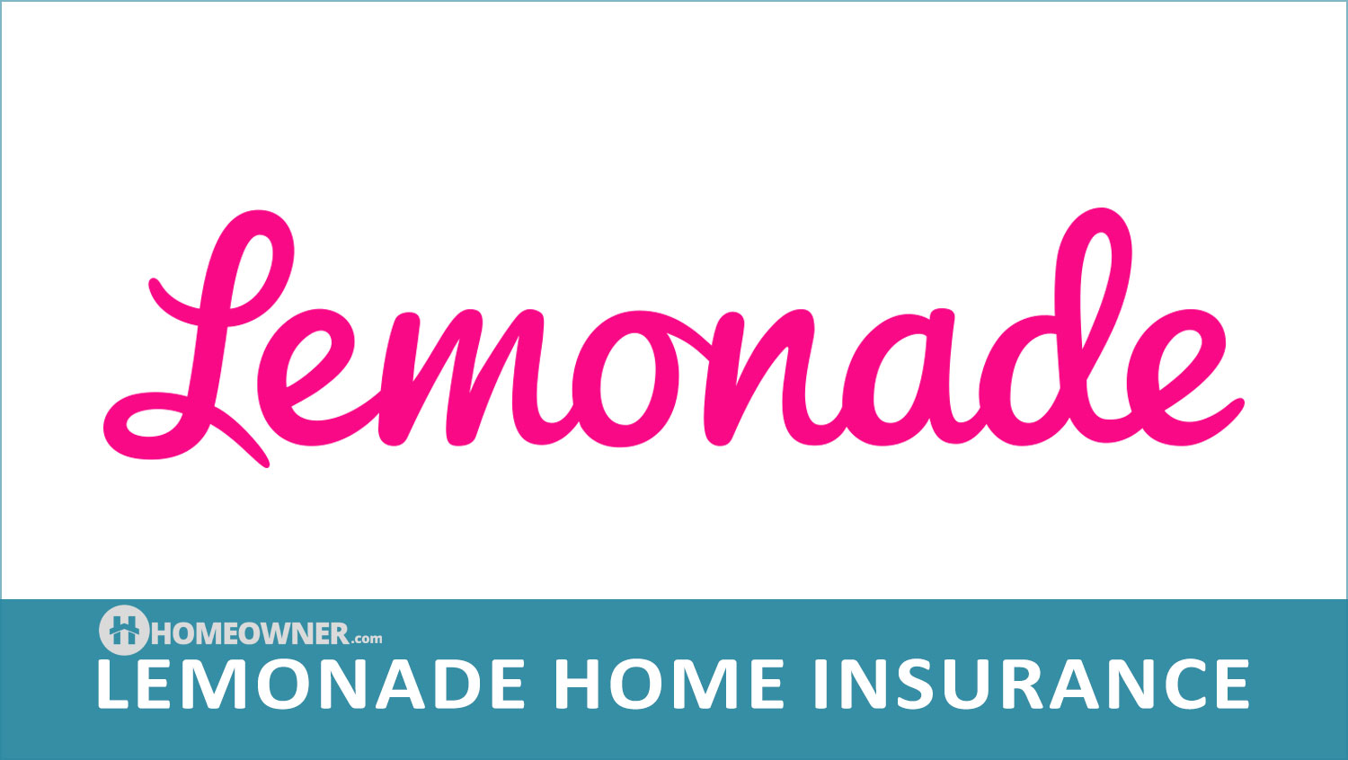 Lemonade Home Insurance - 2023 Homeowners Guide