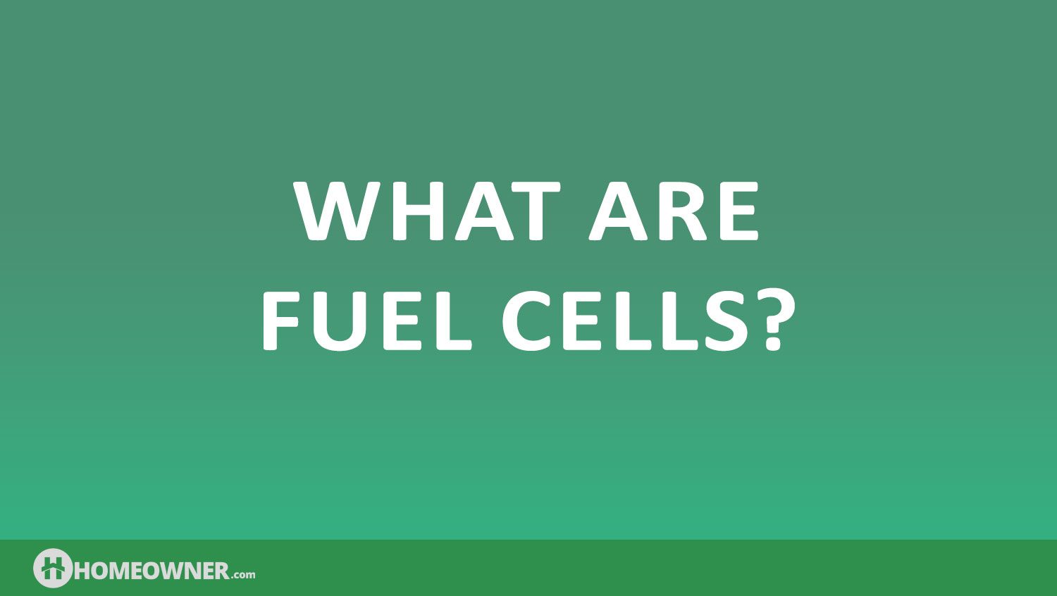 What Are Fuel Cells and How Do They Work?