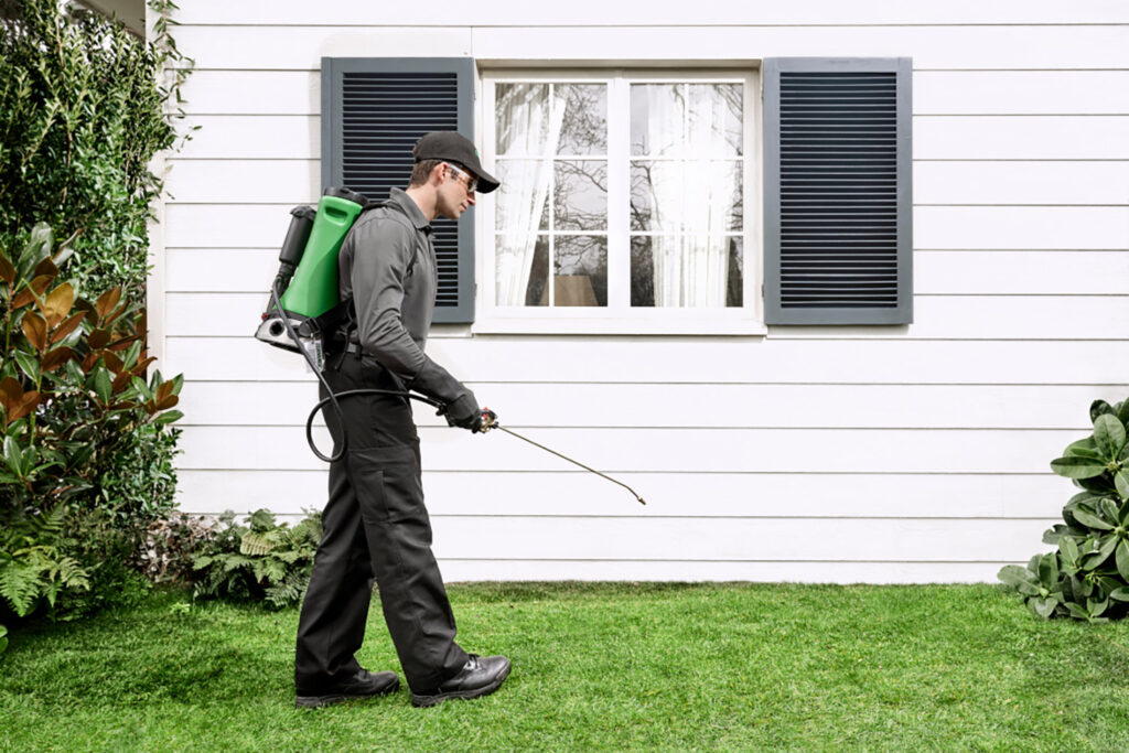 Best Pest Control Companies