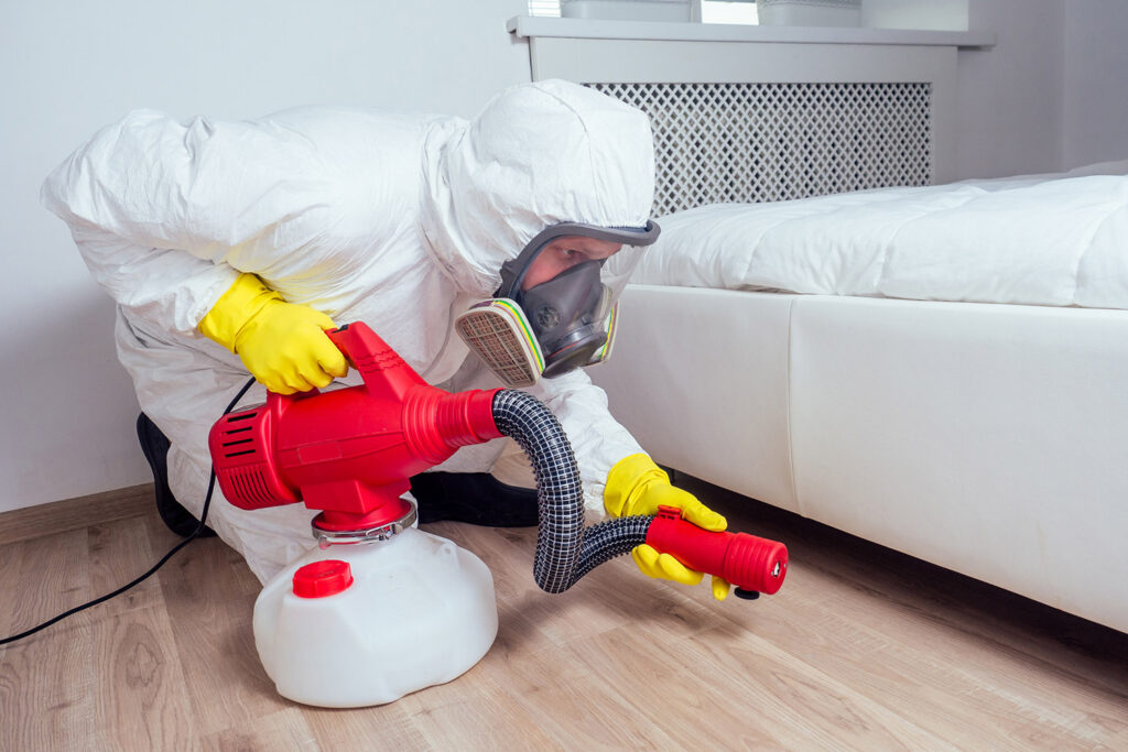 photo of exterminator treating for bed bugs