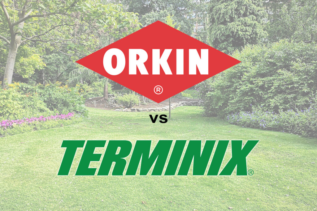 image that says Orkin vs Terminix