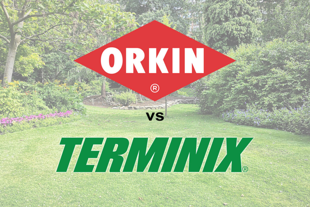 How Much Does Terminix Cost? 2024 Data & Ways To Save