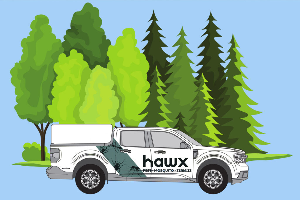 illustration of a Hawx pest control truck