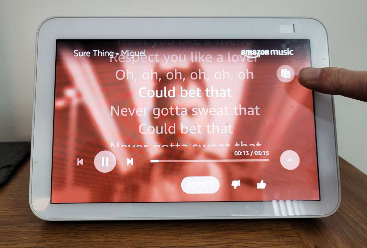 The button on the Echo Show screen that allows you to transfer move